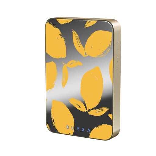 CP_02MS_HALO-MagPbank10K-GO