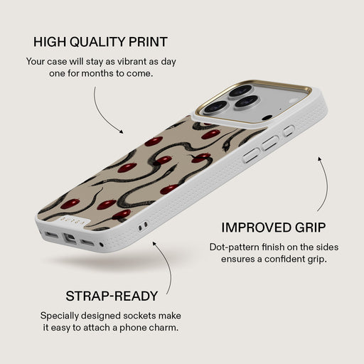 Sinful - iPhone 17 Pro Max Case