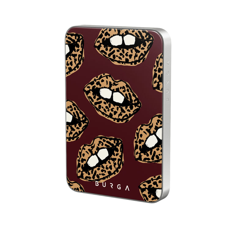 PA_02MS_MagPbank5K-SI