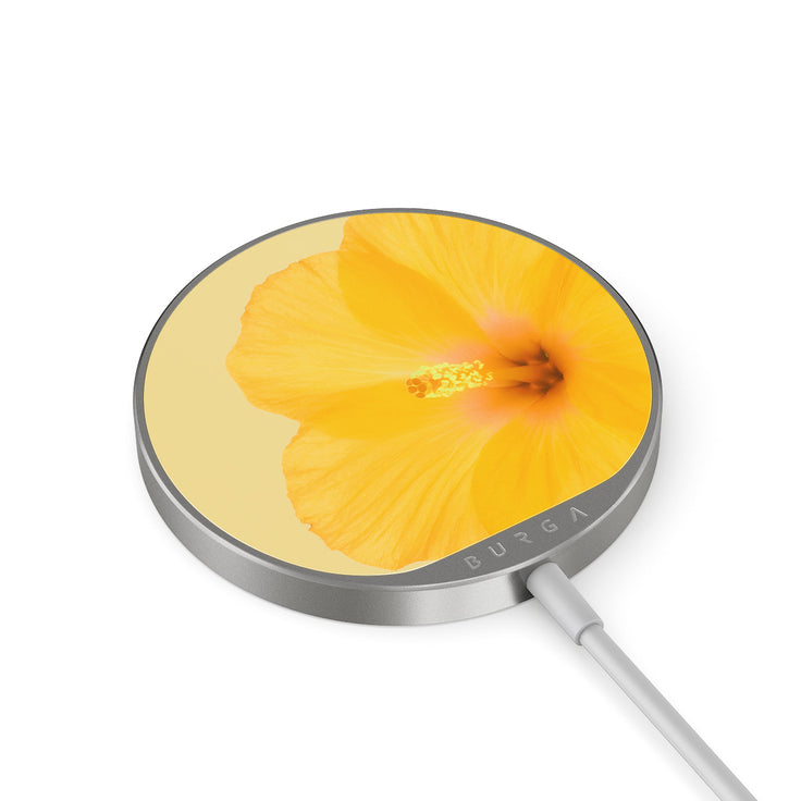 RS_20MC_MAGNETIC_WRLS_CHRG-SILVER