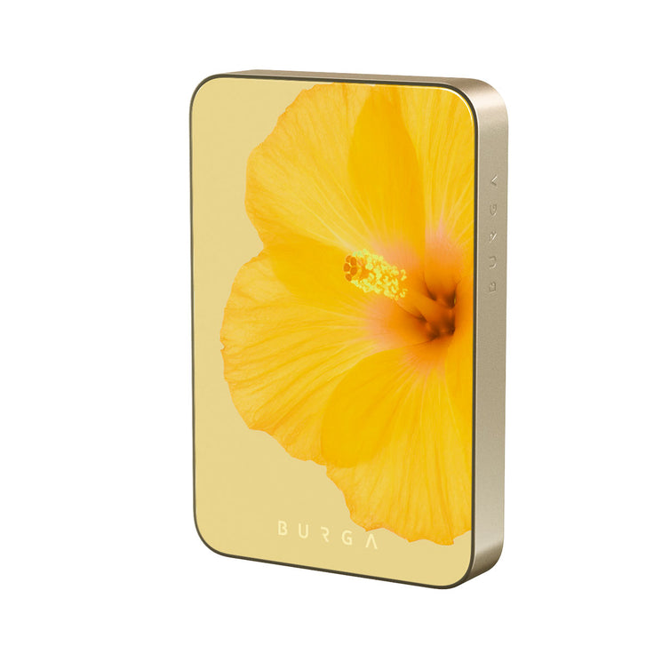 RS_20MS_MagPbank10K-GO